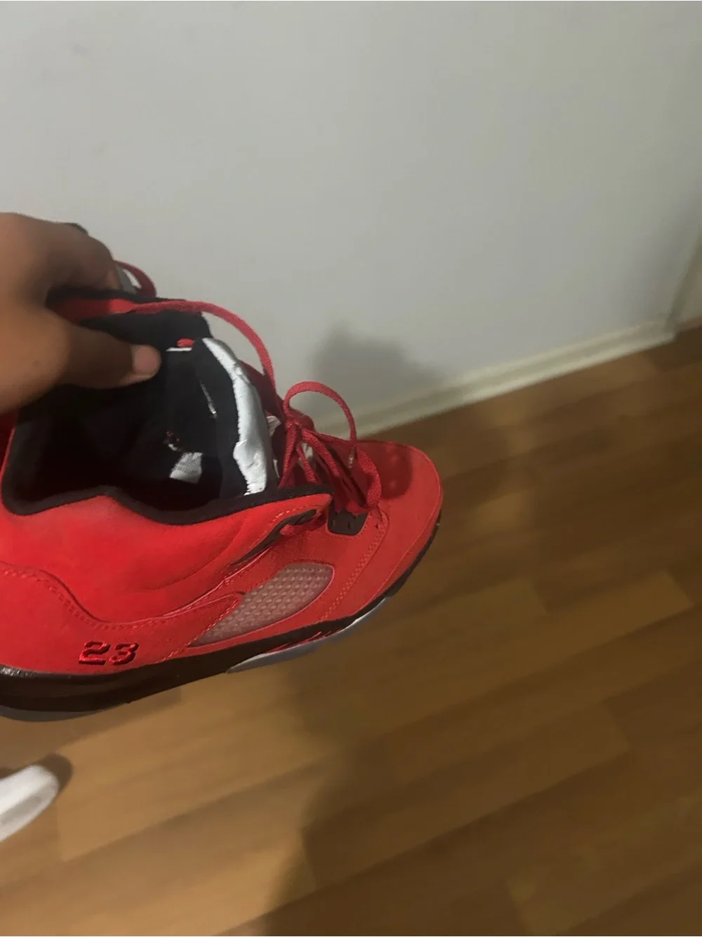 Jordan Men's Raging bull 5s